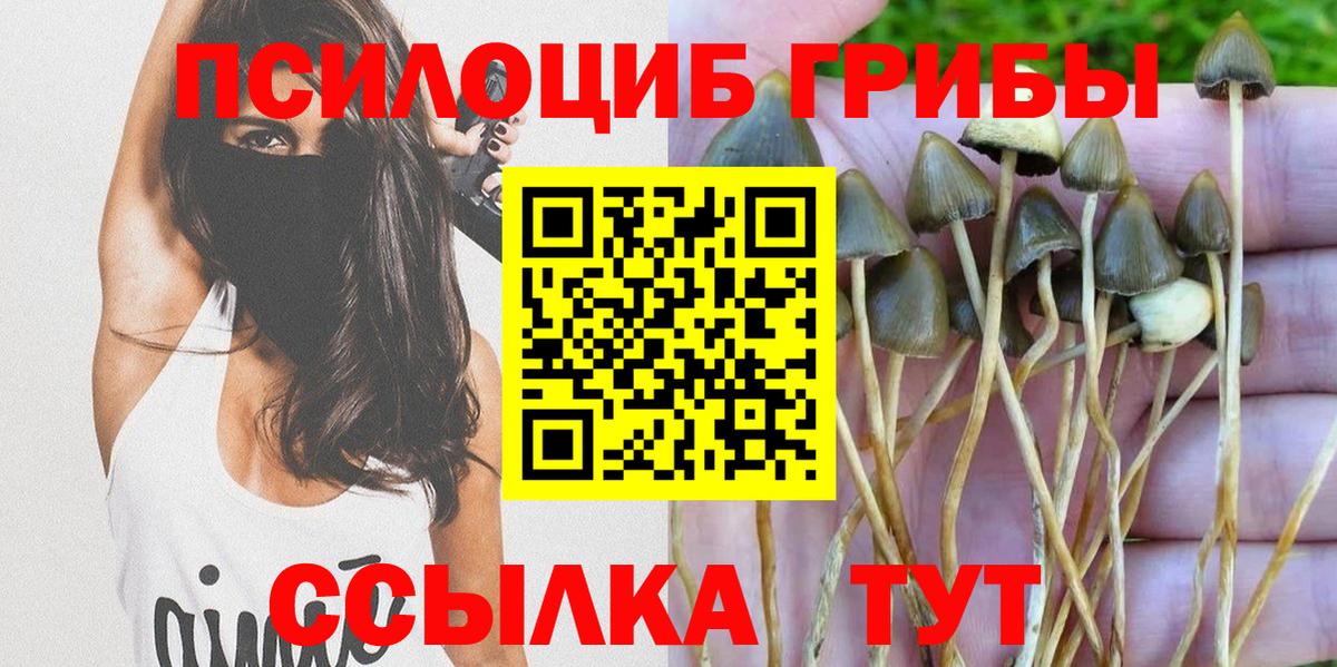 Галлюциногенные грибы мухоморы Ачхой-Мартан