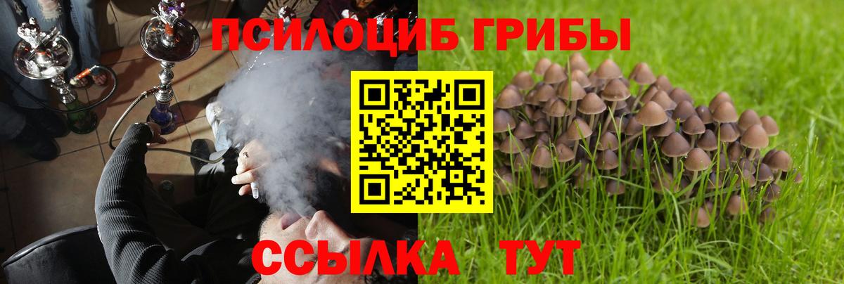 Ачхой-Мартан  Псилоцибиновые грибы Magic Shrooms  Вход с VPN 